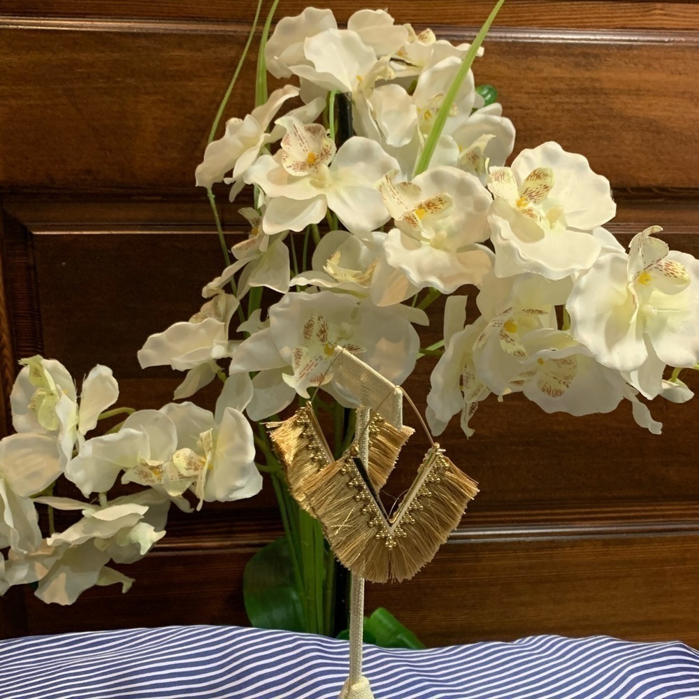 🪴 Taupe Bohemian Hoop Tassel Earrings 🪴
